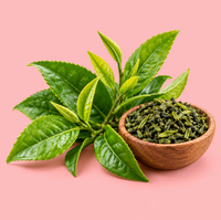 Green Tea Extract